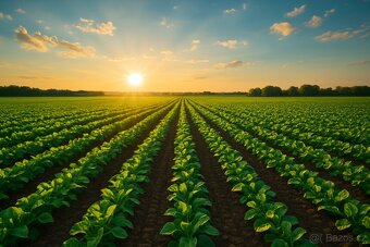 orná půda 42km od Brna - 2