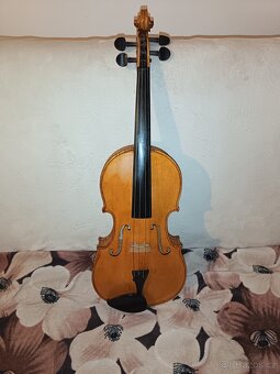Viola - 2