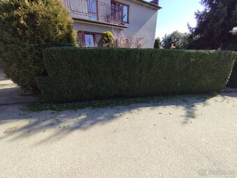 Realizace a údržby zahrad - 2
