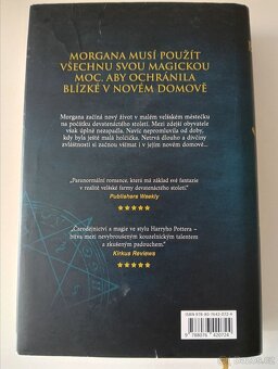 Zimní čarodějnice - Paula Brackston - 2