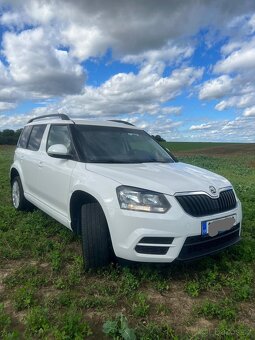 Yeti - 2