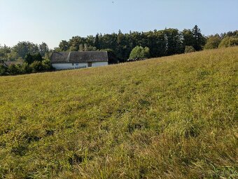 Prodej stavebního pozemku 7990 m² Nové Lublice - 2