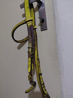 Žlutá uzdečka - 2