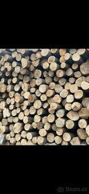 Palivové dřevo tvrdé jasan akce do vyprodání zásob - 2