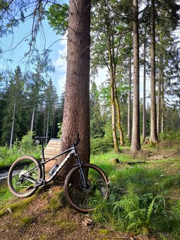 Trek Roscoe 7 2024 XL - 2