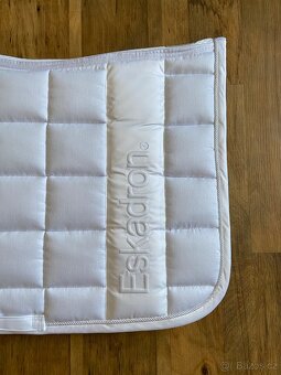 Podsedlova decka Eskadron bila VS - 2