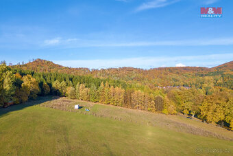 Prodej pastviny, 5287 m², Kdyně - 2