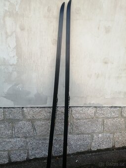 běžky  salomon classic 201 - 2