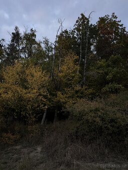 Prodej pozemků v k.ú. Nezdice nad Úhlavou - 2