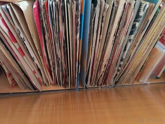 Gramofonové desky - 2