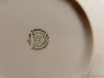 Prodám cibulák - 2