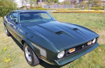 Ford Mustang Mach 1 - 2