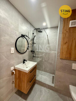 Pronájem bytu 1+kk, 133777 - 2