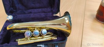 Pocket trumpet - 2