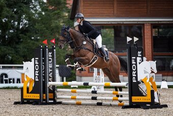 Valach do sportu, čisté RTG včetně zad - 2