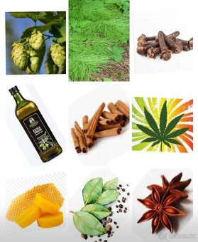 Domácí silná mast - 2