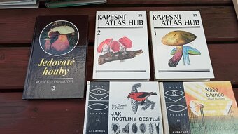 Knihy různých žánrů . - 2