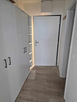 OLomouc Aloise Rašína 1+kk - 2