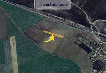 Prodej pole v k.ú. Dobřichov - 2