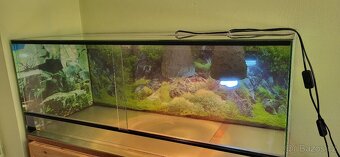Skleněné terárium vhodné např. pro želvy 100x40x42 - 2