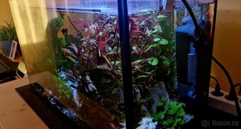 Prodám akvárium - 2