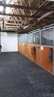 Ustájení koní - 2