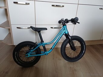 Odrazedlo Rascal - 2