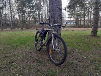 Prodám horské kolo Amulet Maxima - 2