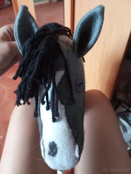 Hobby horse na prodej - 2