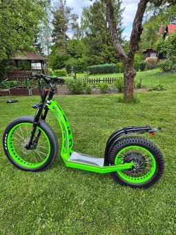 Hugo Bike Big One X - 2