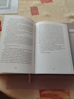 Bábovky na konci světa - 2