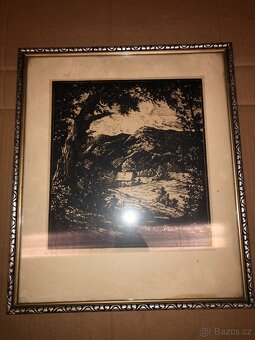Obraz podepsaný - 2