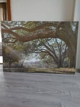 Obraz příroda 115 X 80 cm - 2