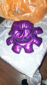 Chobotnice oboustranna - 2