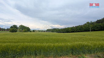 Prodej pole, 32652 m², Malé Nepodřice - 2