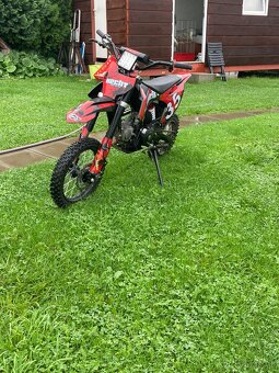 Pitbike Hecht 125 ccm - 2