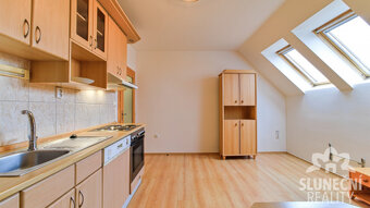 Pronájem bytu 1+1, 42 m², Staré Město - Brněnská - 2