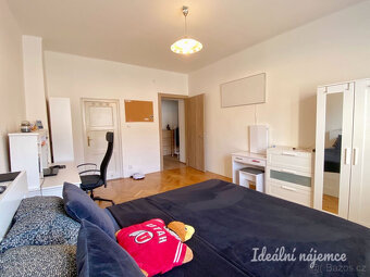 Pronájem bytu 1+1, V Horkách, Nusle, 18.500 Kč/měs, 52 m2 - 2