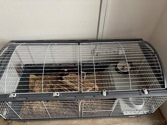 Klec pro králíčka - 2