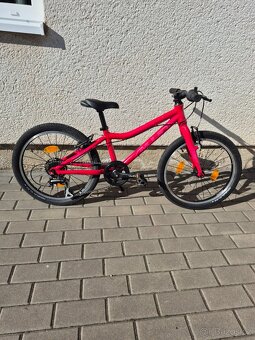 Amulet tomcat 20" - 2