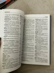 slovník cizích slov - 2