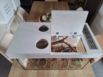Terarium - 2