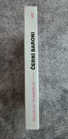Miroslav Švandrlík - Černí Baroni (Mladá Fronta) 1991 - 2
