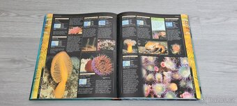 Kniha Oceán - poslední divočina světa - 2