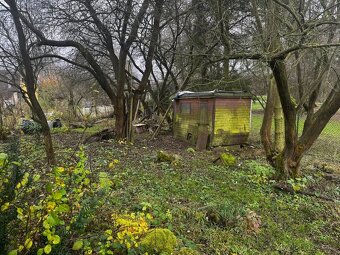 🌿zahrádka ŠAFRANICA V HRANICÍCH 🏡✨ - 2