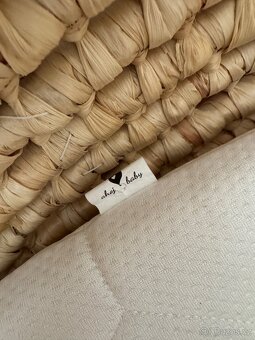 Mojžíšův koš - 2