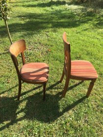 Dřevěné židle - 2