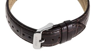 Orient Bambino - 2