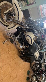 HARLEY DAVIDSON SPRINGERS - 2