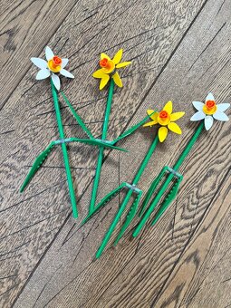 LEGO® Botanicals 40747 Narcisy - 2